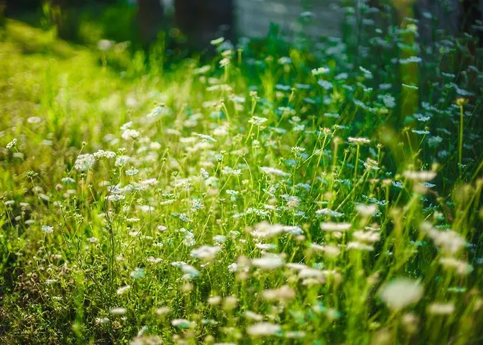 Szálloda Nergos Garden